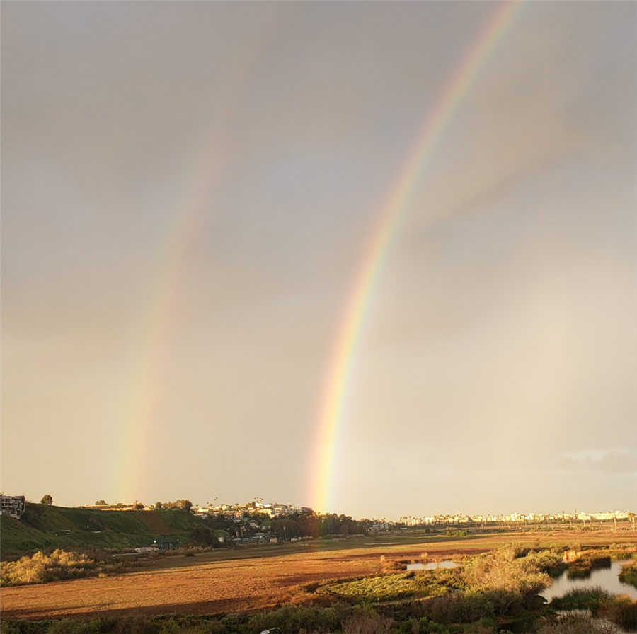 Rainbow 